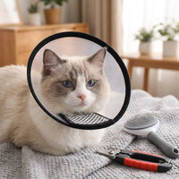 Dog Cone Pet Recovery with Snap Buttons, Transparent Pet Cone for Dogs Cats After Surgery, Stop Licking Cat Cone Kit