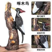 Solid Plastic Animal Model Toy - Parrot Bird Figures for Kids