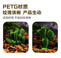 爬虫饲养箱装饰组合摆件沙漠场景微场景仿真植物仙人掌模型无刺耐