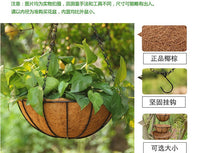 椰棕吊篮花盆悬挂式吊兰花盆创意吊挂专用挂钩绿萝多肉垂吊壁挂盆