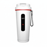 Thermoelectric Car Kettle Portable 12V/24V Quick Heating RV