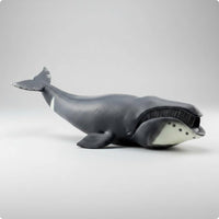 Realistic Bowhead Cetacean Model Educational Bowhead Cetacean Figurine