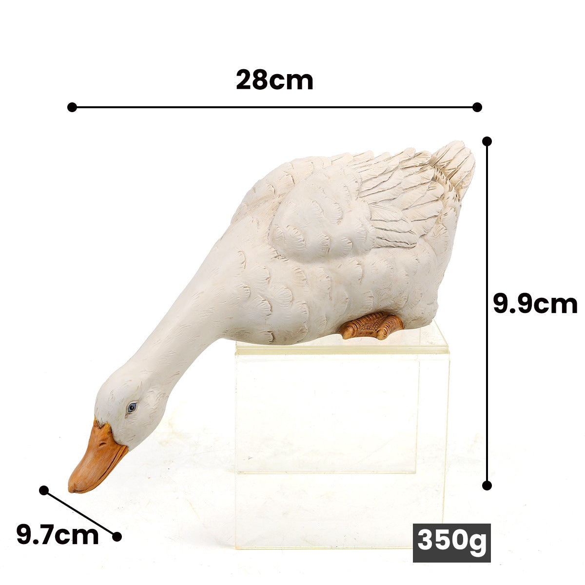 Small Drinking Duck