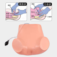 高级妇科训练模型