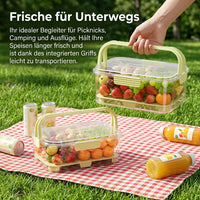 2-Pack Lunch Box, 2200ml Snack Box with Compartments and Carry Handle, Leak-Proof Meal Prep Boxes with Ice Pack for Camping & Outdoor