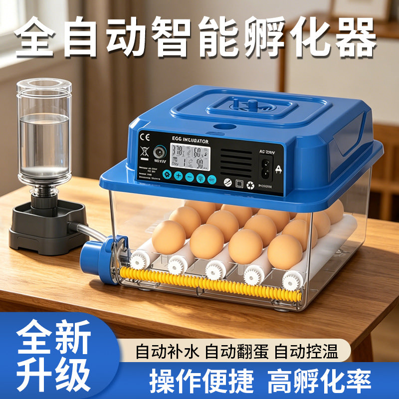 16 Eggs / Single Power