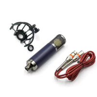 Large Diaphragm Condenser Microphone Kit with Shock Mount, F11, 48V, Bluetooth 5.0