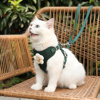 Vest Harness and Harness Leash Set for Dog Walking, Polyester No Pull Pet Harness, Secure Resistant Patterned Walking Harness for Outdoor Pet