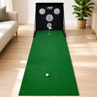 golf putting/chipping practice net with mat