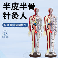 Human Acupuncture Model with Half Skin Half Muscle, 60cm