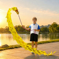 Dragon Dance Prop Scale Pattern Festival Item for Performance, Children