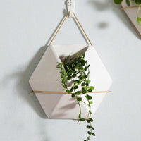 Plant Pots and Hanging Basket for Flower Pots, Modern Nordic Wall Decor for Home Office, Geometric Wall Planter with Rope Plant Hanger, 1 Pack