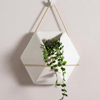 Plant Pots and Hanging Basket for Flower Pots, Modern Nordic Wall Decor for Home Office, Geometric Wall Planter with Rope Plant Hanger, 1 Pack