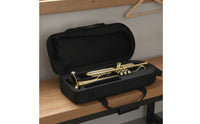 Waterproof Brass Instrument Case Wear-Resistant Padded Instrument Bag Oxford Cloth Carrying Case Bag Detachable Shoulder Straps