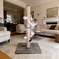 Scratch and Play Feline Climbing Post Tall Design Sisal Feline Tree Sturdy Base Pet Furniture Stable Structure for Cats, Indoor