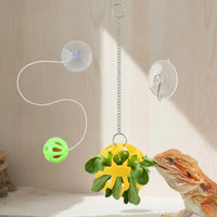 Feeding Ball with Suction Cup Interactive Reptile Feeder Ball Hollow for Lizards