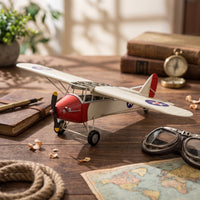 Propeller Airplane Model Collectible Metal Airplane Model Rustic Plane Ornament for Office