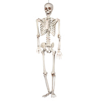2 Meter Halloween Skeleton Decoration Prop