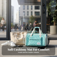 Airline Approved Pet Carrier Large Capacity Under Seat Pet Travel Bag