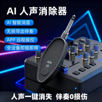 AI Vocal Remover for Karaoke with Bluetooth and Pitch Shift