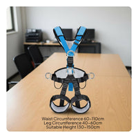 5 Point Harness Certified Full Body Safety Harness Heavy Duty for Professionals