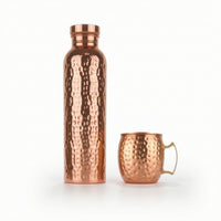 Vacuum Insulated Bottle with Cup Double-Walled Insulated Water Bottle for Travel