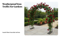 Decorative Metal Garden Arbor Sturdy Construction Garden Arch Weather-Resistant Metal Arbor Easy Assembly for Gardeners, Homeowners, DIY Enthusiasts, Courtyard, Backyard, Pathway Entrance, Walkway