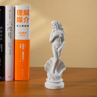 跨境新品维纳斯人物雕塑摆件希腊阿佛洛狄忒神像家居树脂工艺品
