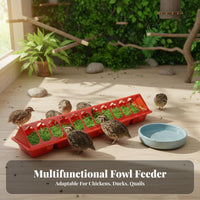 Multi-Hole Avian Trough Easy to Clean Stretched Avian Feeder Reduces Food Waste Chicken Feeding Tray for Pigeons, Backyard Coop, Aviary