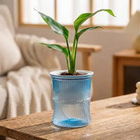 Plant Pots for House Plants and Indoor Plants, Self Watering Indoor Plant Pot with Transparent Double Layer, Creative Minimalist Flower Pots