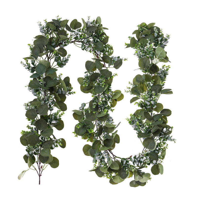 2.0M Vine-b