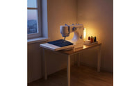 Extension Table Overlock Sewing Machine Foot Pedal Free Arm Sewing Machine Electric Craft Tool