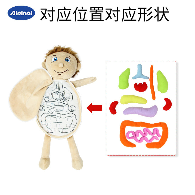 Children's Human Body Organs Plush Puzzle Early Education Toy