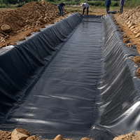 HDPE Geomembrane Liner, 60S Black Synthetic HDPE Liner Roll, 4/6m x 50m, Waterproof Anti-Seepage for Waste Containment