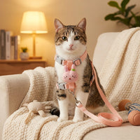 Cat Harness and Leash Walking Set, Nylon Vest Harness Leash for Kitten or Adult Cat, Walking Cat Harness with Chest Strap, Not Retractable 120cm