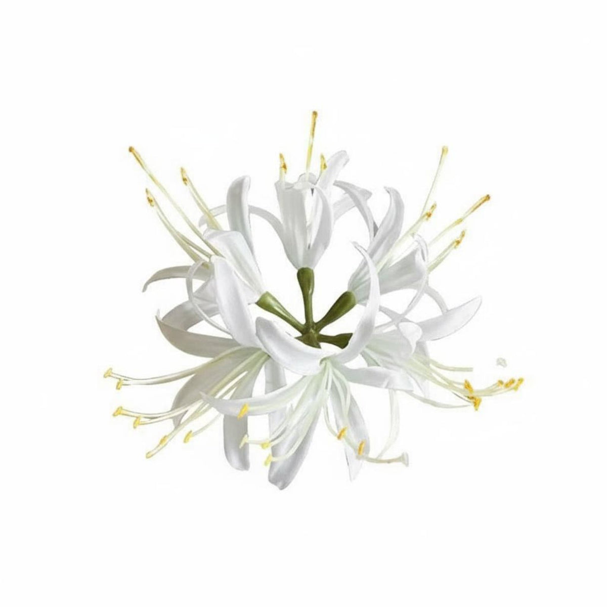Chinese Design Arachnid Lily Hairpiece Elegant Design Hairpin Asian Inspired Hair Accessory Lightweight for Fashion Enthusiasts, Young Adults, New Year Celebrations, Cultural Events, Festivals, Themed Photoshoots