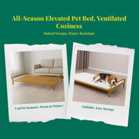 Gnaw-resistant Dog Bed, Reinforced Pet Cot, intermediate Size, Water-Resistant, Easy to Clean, Comfortable, Non-Slip