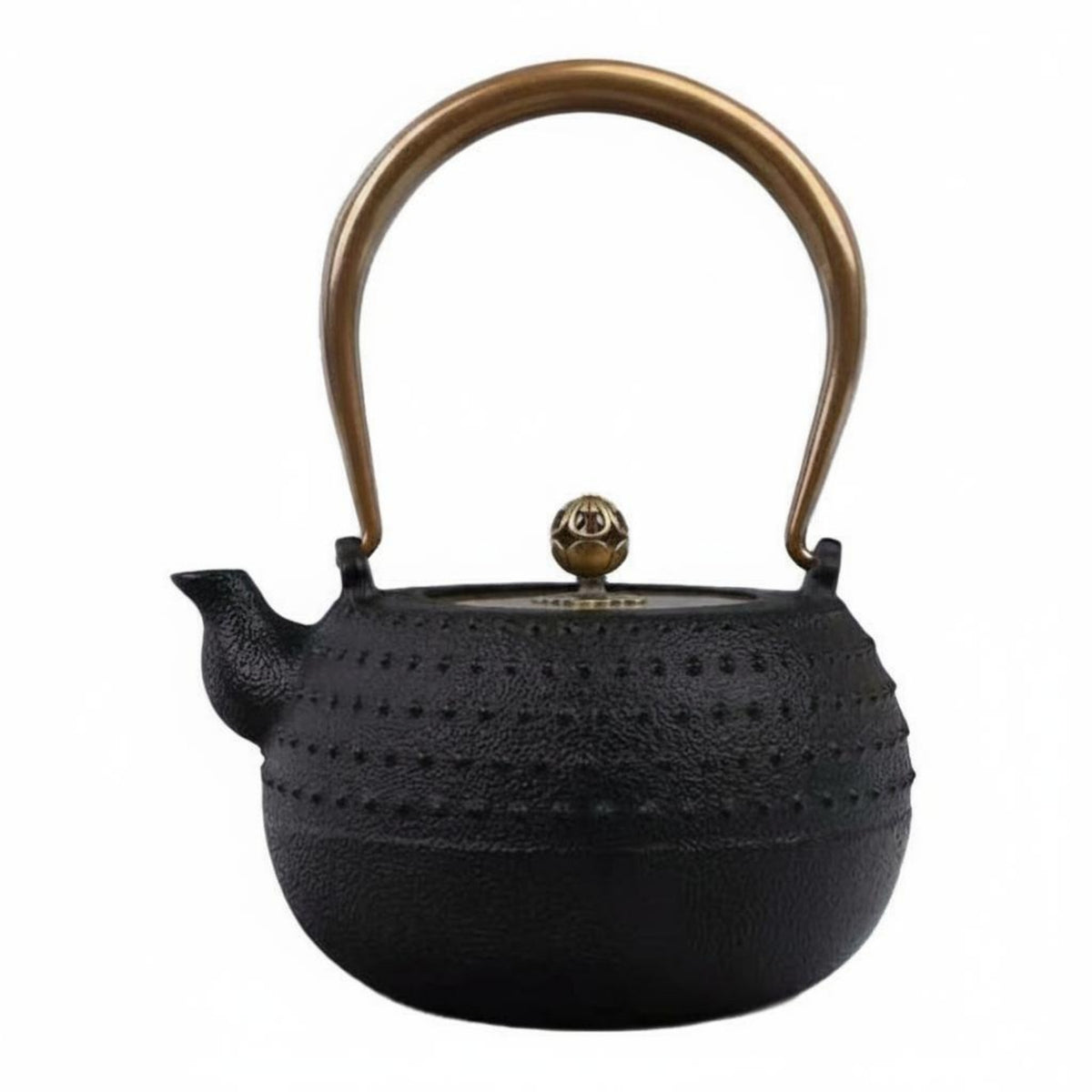 Cast Iron Teapot Traditional Japanese Tetsubin Easy to Clean
