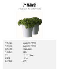 仿真绿植榕树海棠多肉仙人掌 小盆栽 圆叶植物网红办公桌面室内
