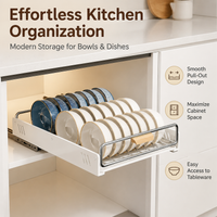 Cabinet Dish Rack, Stainless Steel Rack 42x30x9cm, Telescopic Movable Dish Rack with Drip Tray, Pull Out Drainer for Organised Kitchen
