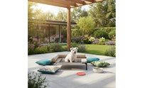 Elevated Dog Bed Raised-the-Ground Design Raised Pet Cot Easy to Clean