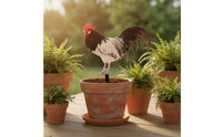 Double-Sided Cock Garden Stake Farmhouse Acrylic Yard Sign with Stake Weatherproof Cock Statue Outdoor for Gardeners, Homeowners, Lawn