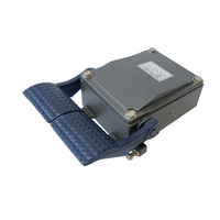 Heavy Duty Cast Iron Foot Pedal Switch -02, Industrial Foot Switch with 250V 15A, Foot Operated Powe - LT1-02