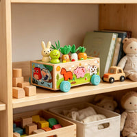 Farm Animal Sorting Box Pretend Farmyard Play Animal Toy Sturdy Sorter for Kids, Home, Classroom