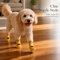 Pet Dog Anti-Slip Indoor Socks for Small Dogs - Teddy, Bichon, Puppy Paw Protection