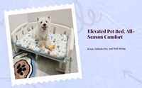 Washable mesh pet bed, non-slip base.