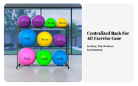 Space Saving Exercise Ball Storage Rack Stable Frame Exercise Ball Holder Heavy-Duty Steel Non-Slip