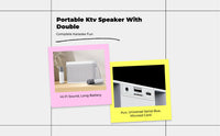 Portable karaoke speaker, stereo sound