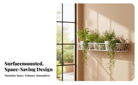 partitionMounted Flower Pot lattice Hanging Design Metal mounted surface Planter shelf systemSaving Plant intended for Gardeners, Apartment Dwellers, Balcony, Patio, Indoor