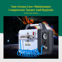 Ultra-quiet oil-free air compressor